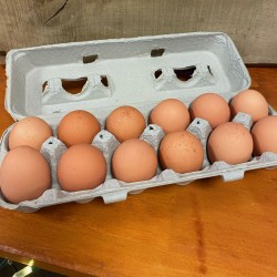 Farm fresh Eggs - 1 dozen