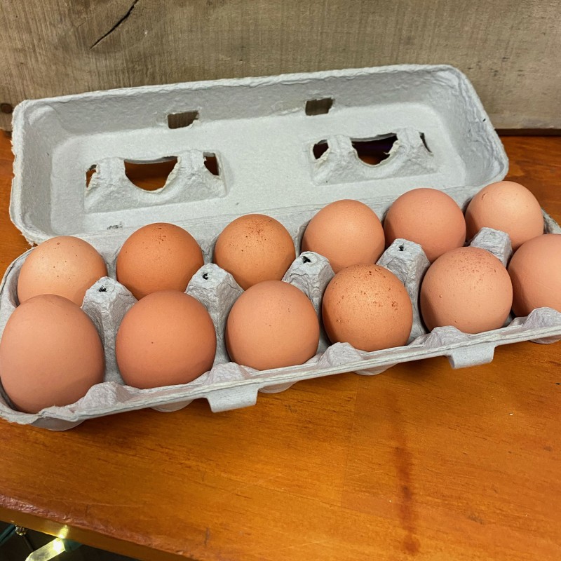 farm-fresh-eggs-1-dozen